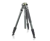 Vanguard Alta Pro 2+ 264AT - Trípode de aluminio para dslr, color negro y gris