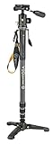 Vanguard Veo 2S CM-264TBP120T - Monopie para cámara réflex de Carbono con retráctil rótula Bola