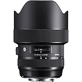 Sigma 14-24mm F2.8 DG HSM Art  Canon EF