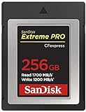 SanDisk Extreme Pro CFexpress Tarjeta Tipo B de 256 GB con hasta 1700 MB/s para Vídeos Raw 4K